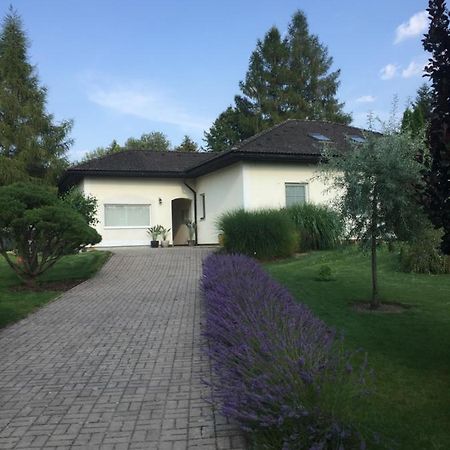 Studiovy Apartman V Zahrade Police nad Metují 外观 照片