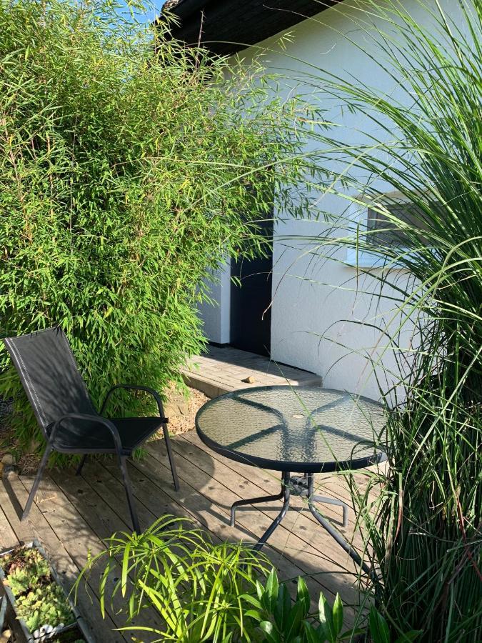 Studiovy Apartman V Zahrade Police nad Metují 外观 照片